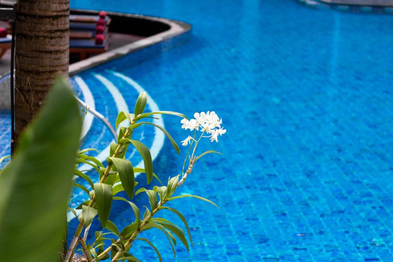 Patong فندق ديفانا بلازا هوتيل فوكيت بوكي باتونج المظهر الخارجي الصورة
